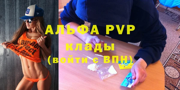 хмурый Верея