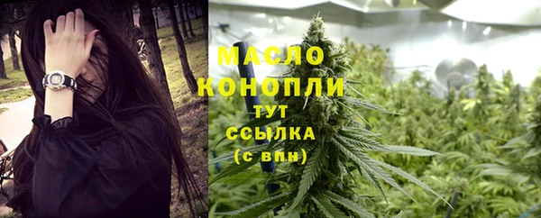 хмурый Верея
