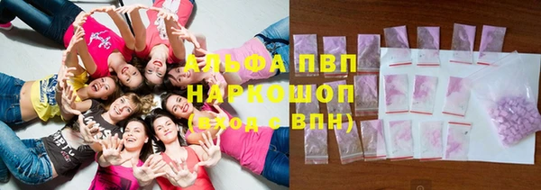 хмурый Верея