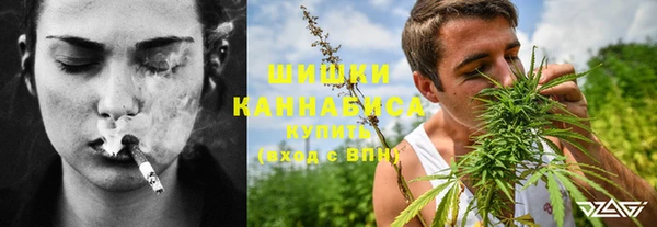 хмурый Верея