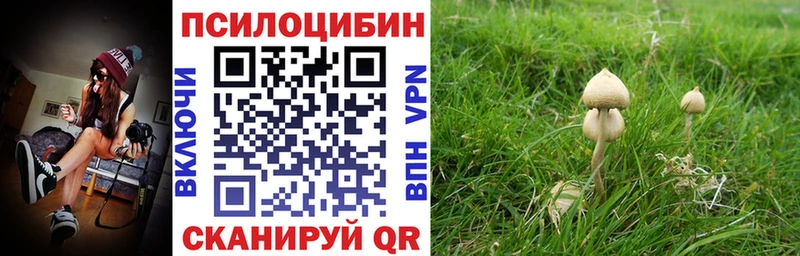 где купить   KRAKEN вход  Галлюциногенные грибы Cubensis  Сатка 